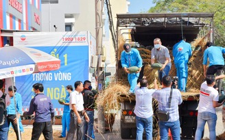 Thiên Hòa ‘giải cứu’ hàng chục tấn dưa hấu trong mùa dịch Corona