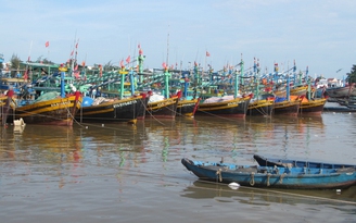 Bình Thuận: Quản lý chất lượng an toàn thực phẩm hướng đến bền vững
