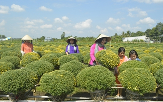 Đồng Tháp ‘đánh thức’ tiềm năng du lịch