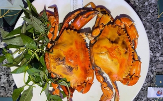 Thưởng thức cua cốm ngon thần sầu tại quán Cua Cốm Garden