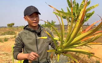 Trở thành ‘đại sứ nước sạch’ cùng Quang Linh Vlogs
