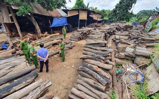 Đắk Lắk: Phát hiện khối lượng lớn gỗ lậu căm xe giữa trung tâm thành phố