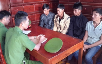Khởi tố nhóm hủy hoại rừng thông dọc QL14 để chiếm đất