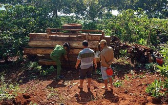 Lật xe công nông chở gỗ, 1 người chết, 2 người bị thương