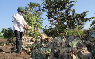 Dân nhổ bỏ hàng trăm tấn rau củ vì chẳng ai mua