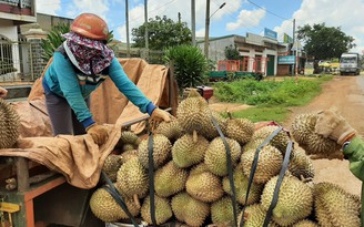 Đắk Lắk: Huyện quy định bán xong nông sản, người dân phải cách ly tại nhà