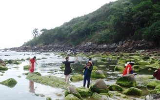Đà Nẵng chính thức đưa ghềnh Nam Ô ra khỏi dự án khu du lịch sinh thái