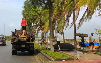 Bờ biển Đà Nẵng ngổn ngang rác thải sau lũ và mưa lớn