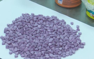 Lật tẩy thủ đoạn giấu hơn 4.000 viên thuốc lắc trong thùng trái cây tết Lật tẩy thủ đoạn giấu hơn 4.000 viên thuốc lắc trong thùng trái cây tết