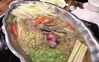 Linh non tập tành… sám hối!
