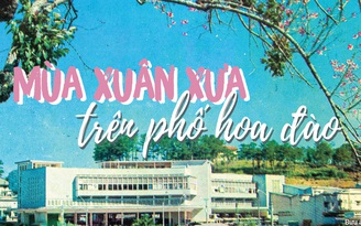 Mùa xuân xưa trên phố hoa đào Mùa xuân xưa trên phố hoa đào