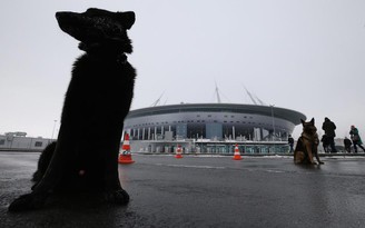 Nga bị phản ứng kịch liệt vì chiến dịch giết chó hoang trước thềm World Cup 2018