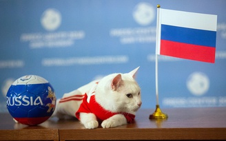 Mèo điếc tiên đoán chủ nhà Nga thắng trận khai mạc World Cup 2018