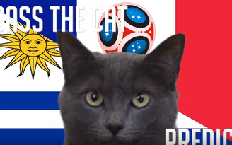 Tiên tri mèo đen dự đoán Pháp thắng Uruguay, chim ưng “lắc đầu”