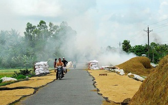 Xử lý nghiêm các trường hợp phơi nông sản, đốt rơm rạ trên đường