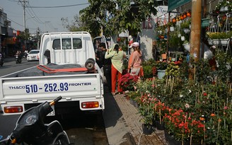 Rộn ràng ‘mùa vụ’ hoa Tết rực rỡ trên các con đường TP.HCM Rộn ràng ‘mùa vụ’ hoa Tết rực rỡ trên các con đường TP.HCM
