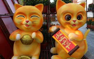 Mèo Bạc Liêu thu hút người dân tại sự kiện ‘Chợ quê ngày Tết’