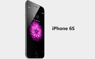 Apple sẽ ra mắt 3 phiên bản iPhone trong năm nay