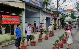 Người dân chăm cây táo xanh những ngày phong tỏa: 'Thấy lá hơi vàng là lo'