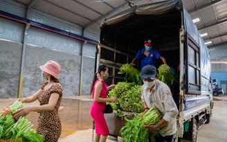 Chở rau xuống cho bà con vì: ‘Người Sài Gòn nuôi dưỡng, giúp con tôi thành tài’