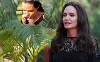 Angelina Jolie tự tay chế biến và thưởng thức nhện, bò cạp tại Campuchia