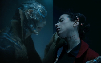 The Shape of Water 'rửa hận' sau Quả cầu vàng