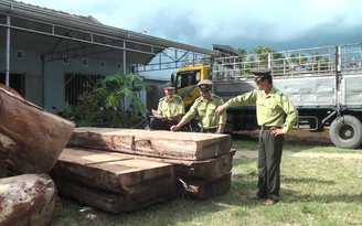 Liên tục phát hiện xe tải chở gỗ lậu