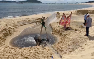 Phú Yên: Xử phạt 2 doanh nghiệp nuôi tôm xả nước thải trực tiếp ra biển