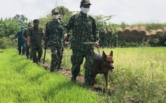 Bệnh nhân Covid-19 nhập cảnh trái phép: Công an An Giang khởi tố vụ án