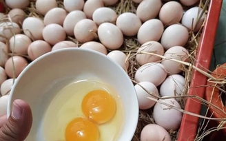 Giá trứng gia cầm tăng 2.000 - 5.000 đồng/chục