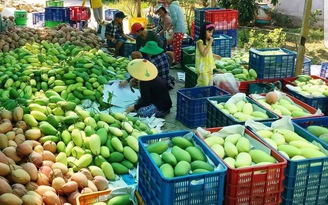 Nhiều loại trái cây tăng giá đầu năm