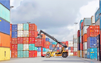 Vụ lừa xuất khẩu điều sang Ý: Đã giữ lại được 16 container tại cảng