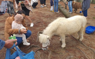 Check-in các vườn thú 'độc lạ' ở Lâm Đồng
