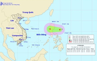 Mưa giông, gió mạnh trên Biển Đông do ảnh hưởng của áp thấp nhiệt đới