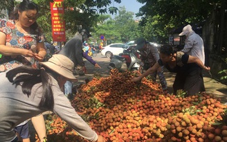 Vải thiều bán trên vỉa hè Hà Nội giá 10.000 - 15.000 đồng/kg