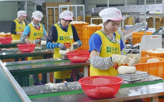Lao động Việt Nam được ở lại Hàn Quốc làm việc thêm 1 năm