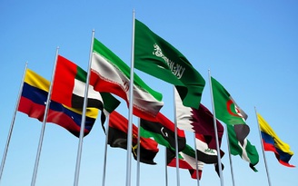 Nhiều nước OPEC đòi họp khẩn