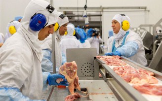 Brazil tuyệt vọng cứu ngành sản xuất thịt giữa bê bối thịt bẩn
