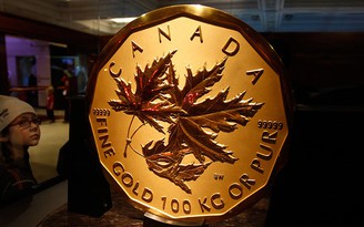 Canada điều tra vàng giả