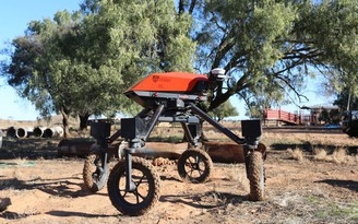 Robot AI làm nông ở Úc