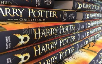 Trường đại học dạy môn triết bằng truyện 'Harry Potter'