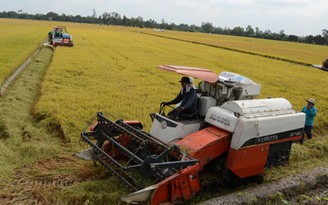 Nên tính tới chuyện sống chung với nhiễm mặn