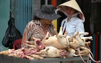 Ăn hay không ăn thịt chó là do cách nhìn nhận