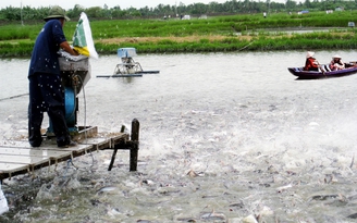 Đánh giá hợp tác Việt Nam - Đan Mạch sau 15 năm