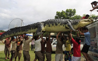 Cá sấu nhảy lên xuồng lôi bé trai về hang