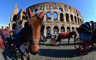 Rome xem xét ngừng dịch vụ xe ngựa sau sự cố ngựa bị sụm chân