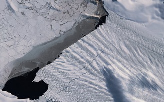 Sông băng Nam cực đang xuất hiện các vết nứt lớn