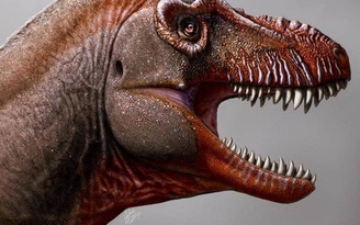 Phát hiện ‘tử thần mới’, họ hàng cao tuổi của khủng long bạo chúa T-Rex