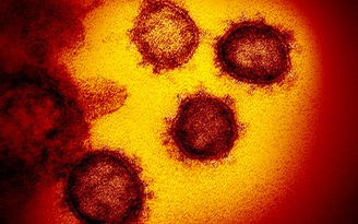 Virus Corona mới dễ lây hơn SARS