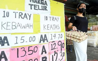 Trứng ở Malaysia trước nguy cơ tăng giá vì nông trại cắt giảm sản lượng